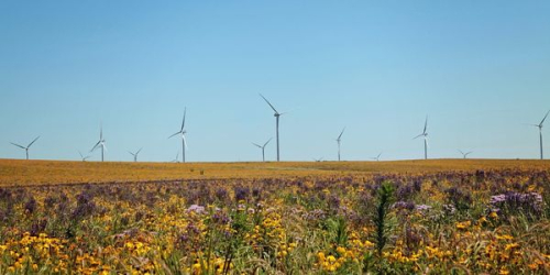 MidAmerican Energy wind farm